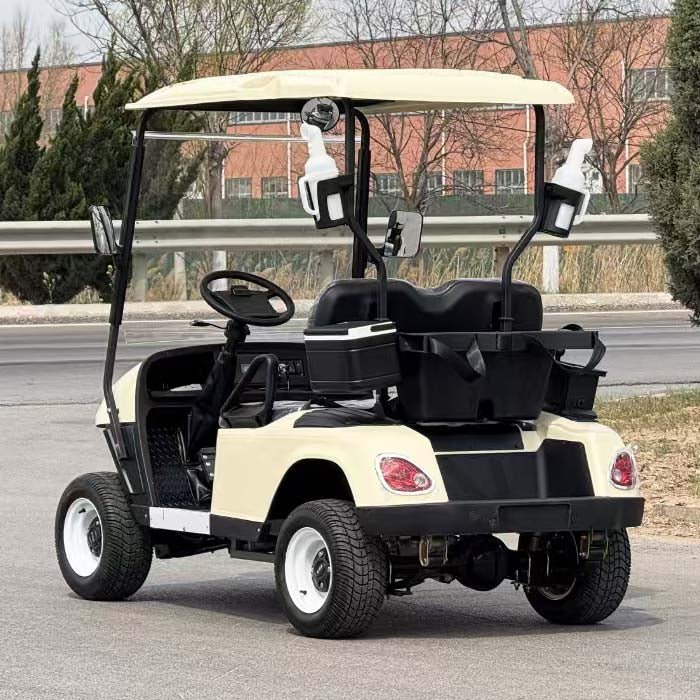 EPURA-GC-O 2S 2-Seater Electric Golf Cart | 60V 3.0KW 100km - Epura EV
