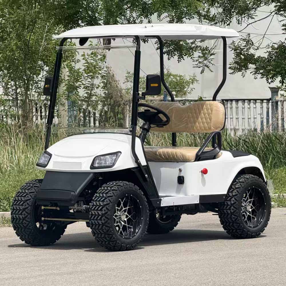 EPURA-GC-O 2S 2-Seater Electric Golf Cart | 60V 3.0KW 100km - Epura EV
