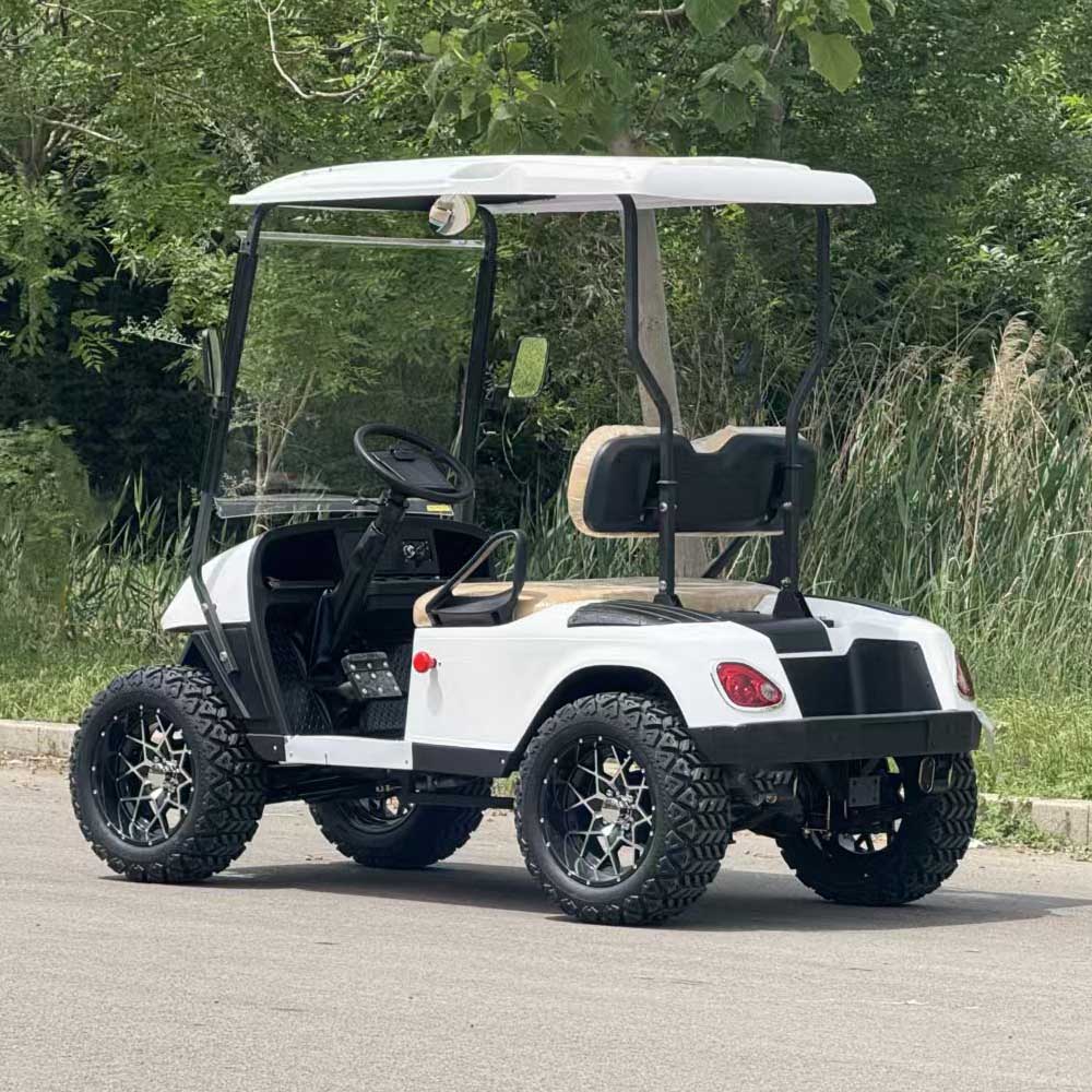 EPURA-GC-O 2S 2-Seater Electric Golf Cart | 60V 3.0KW 100km - Epura EV